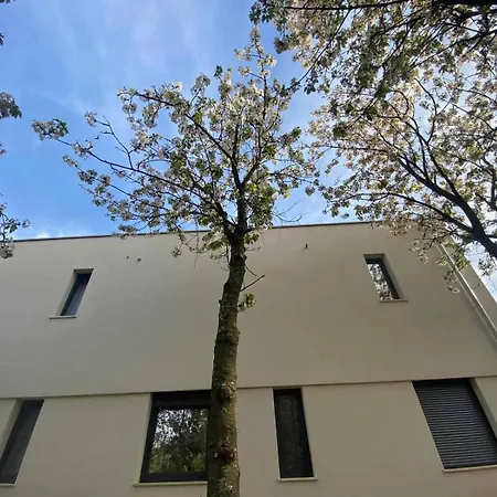 Mi, Rukavac Opatija Riviera Villa